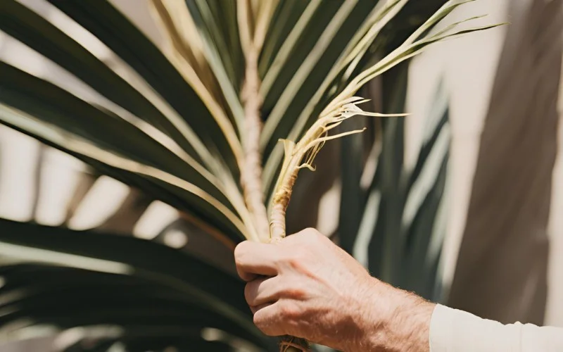 Biblical Roots of Palm Sunday